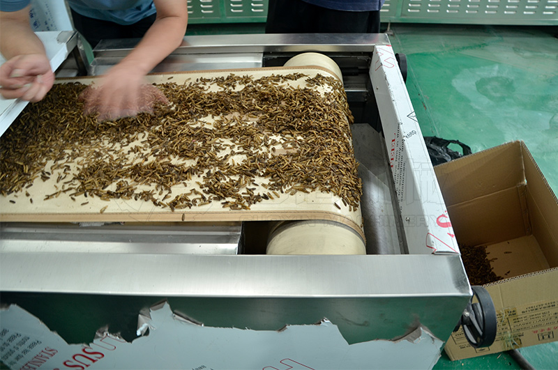 食品微波殺菌設備